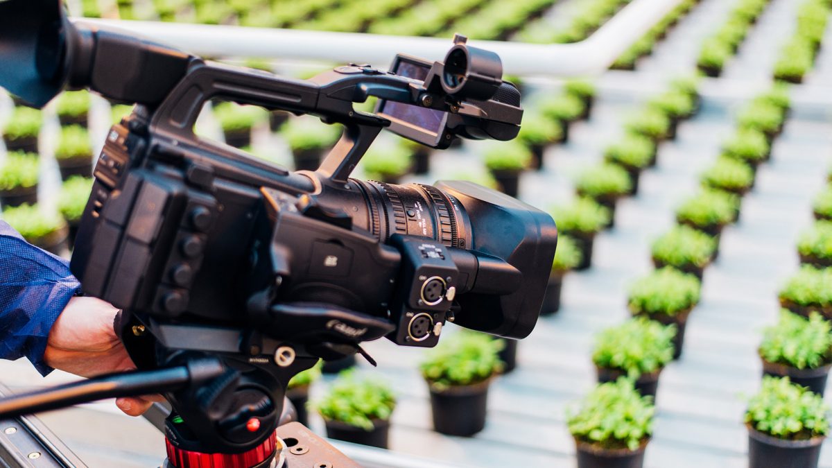 Camera filming plants nursery