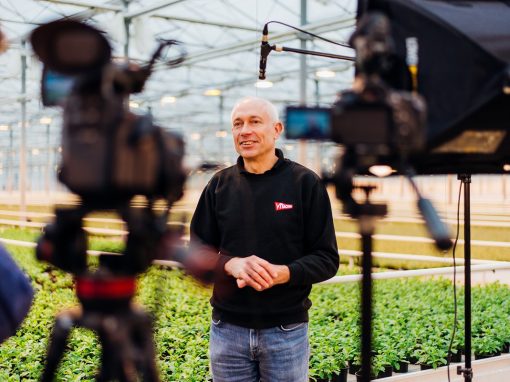 Why Customer Reference Videos are Awesome