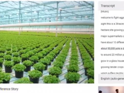 How to get a video transcript from YouTube for FREE