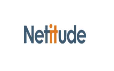 Netitude Logo